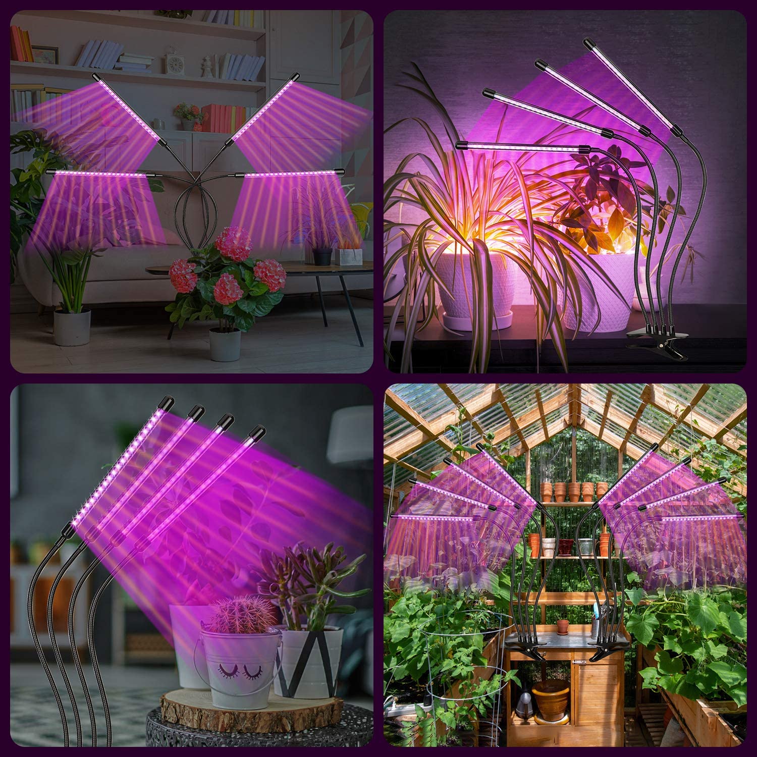 FRGROW Lampe Horticole LED, Lampe De Croissance, 3000k/5000k/660nm Lampe  Horticole Spectre Complet, Lampe Plante D'Intérieur à Clipser Avec Led  Blanches Rouges 2 Têtes : : Jardin
